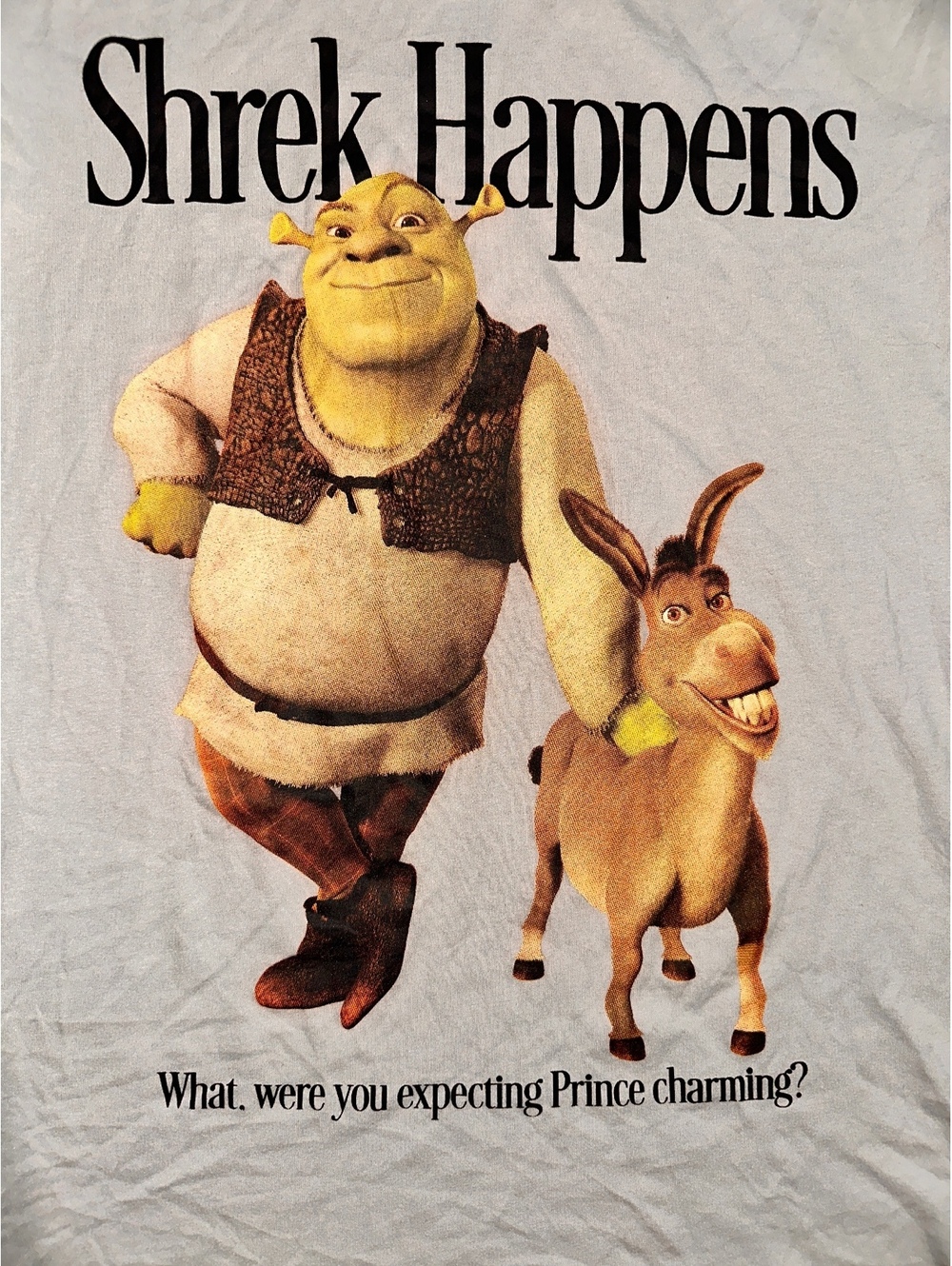 Men’s Small Dreamworks Shrek and Donkey Shrek Happens Shirt